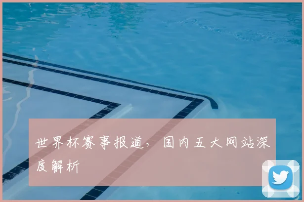 世界杯赛事报道,国内五大网站深度解析