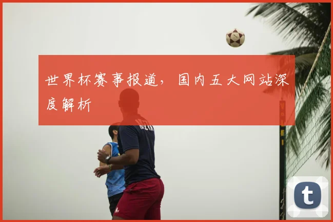 世界杯赛事报道，国内五大网站深度解析