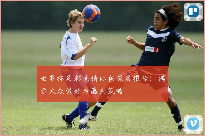 世界杯足彩竞猜比例深度报告：揭示大众偏好与赢利策略