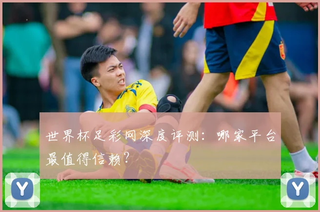 世界杯足彩网深度评测：哪家平台最值得信赖？