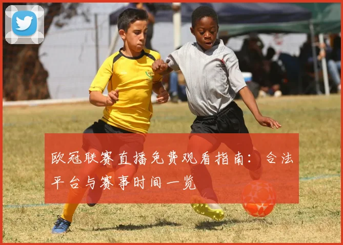 欧冠联赛直播免费观看指南：合法平台与赛事时间一览