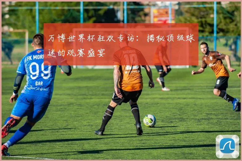 万博世界杯狂欢专访：揭秘顶级球迷的观赛盛宴