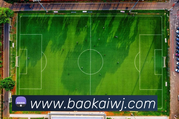 开云手机在线登录官网APP 封面图